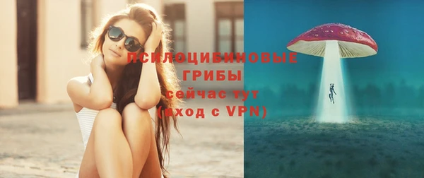 СК Алексеевка